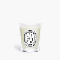 DIPTYQUE無花果蠟燭 70g
