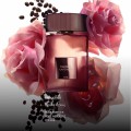 TF咖啡玫瑰50ml